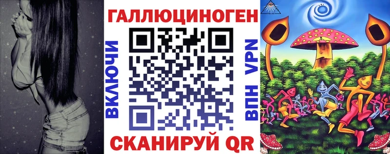 как найти Городец Галлюциногенные грибы Magic Shrooms
